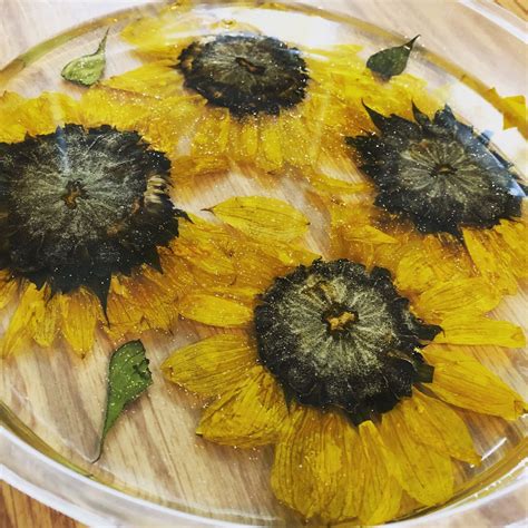 sunflower in resin|More.